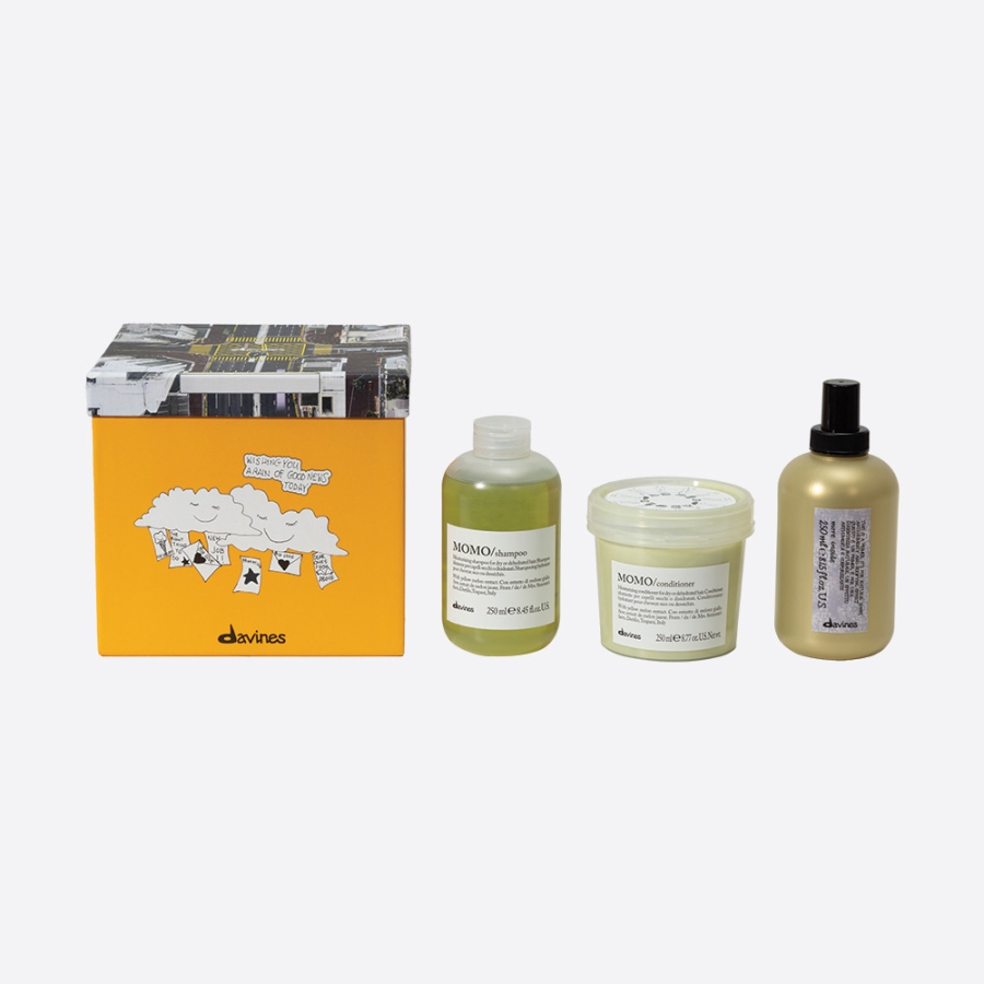 The Dreamer, momo shampoo, momo condicionador, cabelo desidratado, cabelo seco, more inside blowdry, kit davines